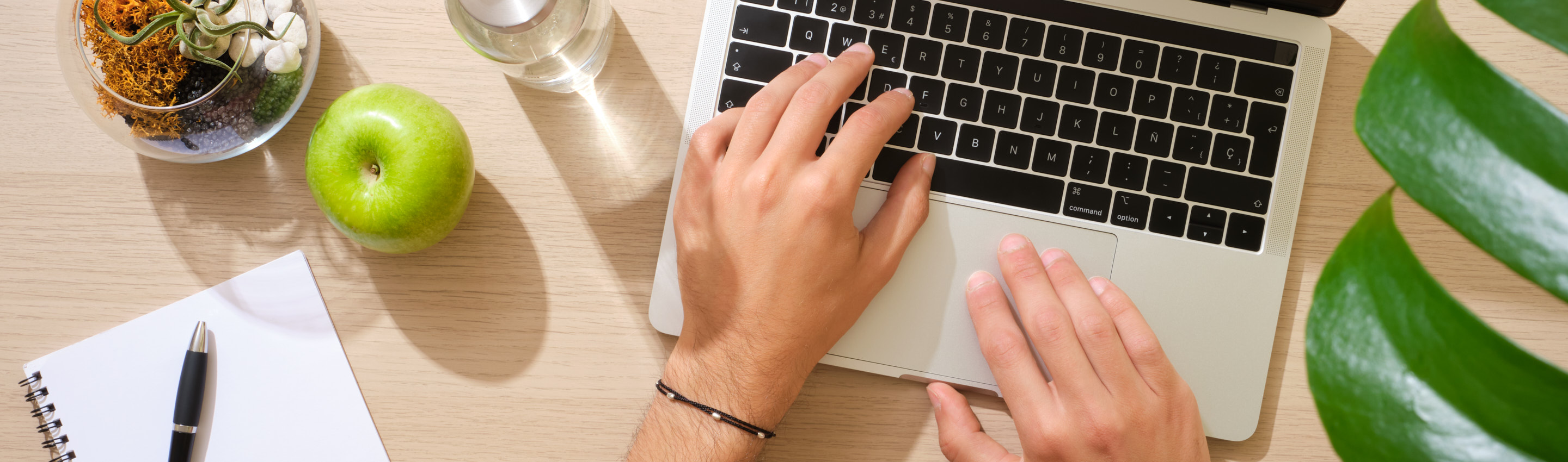 Blog Cabecera ProAge